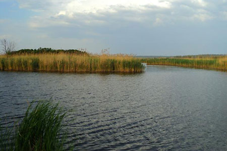 Река Сухая Cура