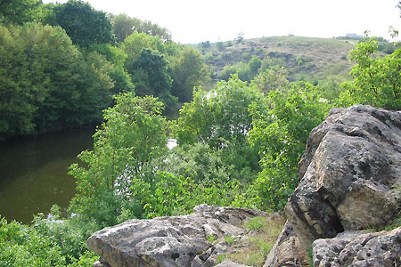 Лес Дибровский