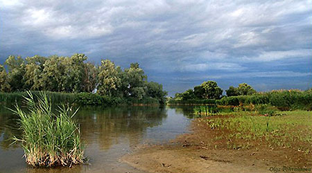 Дієвський лісопарк Дієвський лісопарк