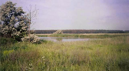 Озеро Орлове