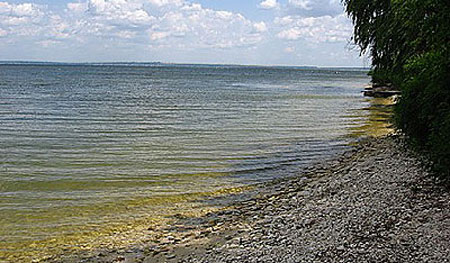Водосховище Каховське Водосховище Каховське