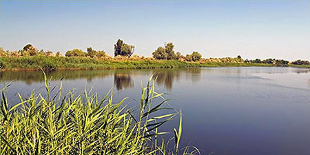 Річка Базавлук