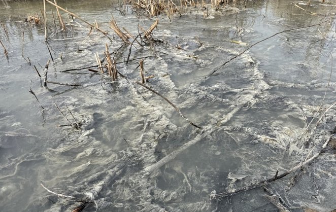 Вода смердить та брудна Вода смердить та брудна